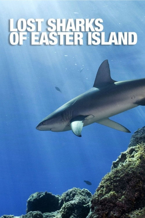 Movie poster for Lost Sharks of Easter Island (2011)