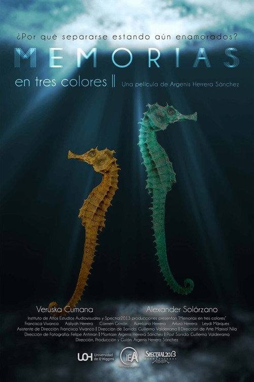 Movie poster for Memorias En Tres Colores (2021)