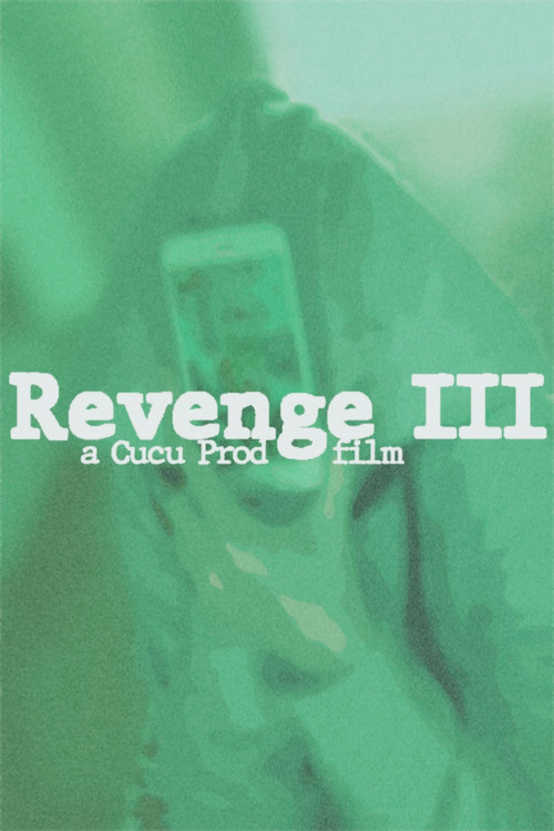 Movie poster for The Revenge III (2017)