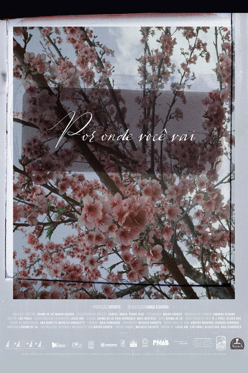 Movie poster for The places you wander