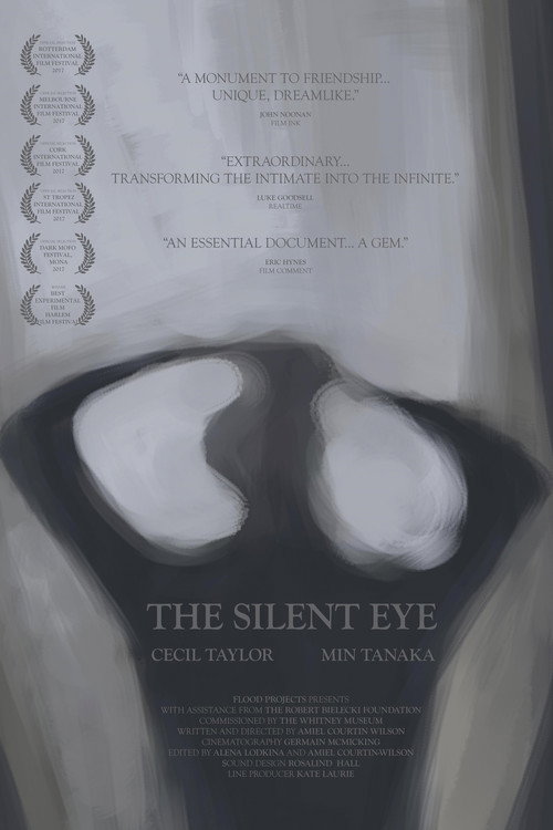 Movie poster for The Silent Eye (2016)