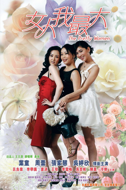 Movie poster for The Pretty Women (2008)