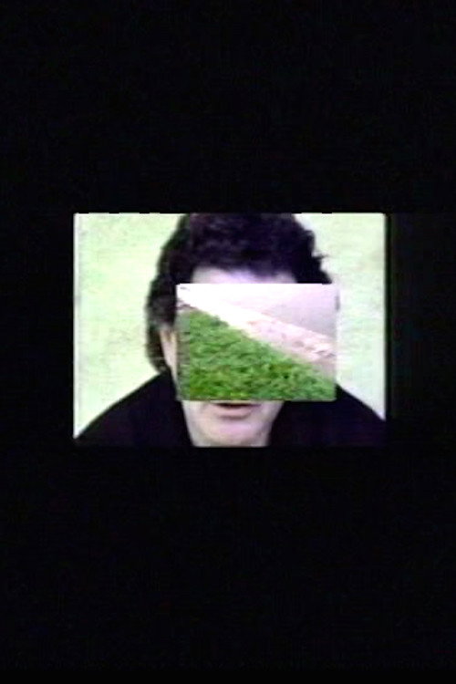 Movie poster for Sleeping Woman (1992)