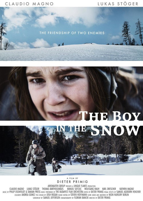 Movie poster for The Boy in the Snow (2021)