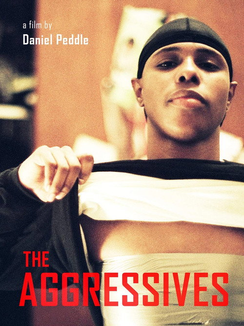 Movie poster for The Aggressives (2005)
