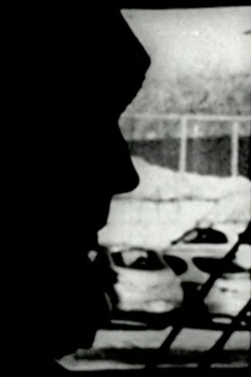 Movie poster for Perceptual Subjectivity (2009)