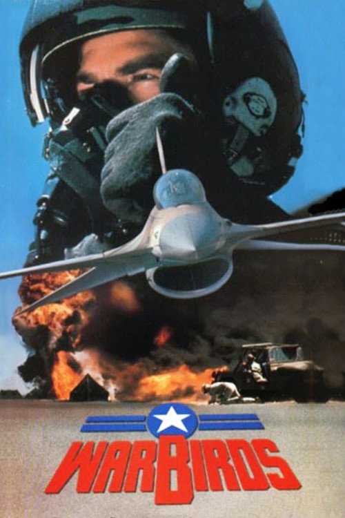 Movie poster for Warbirds (1989)
