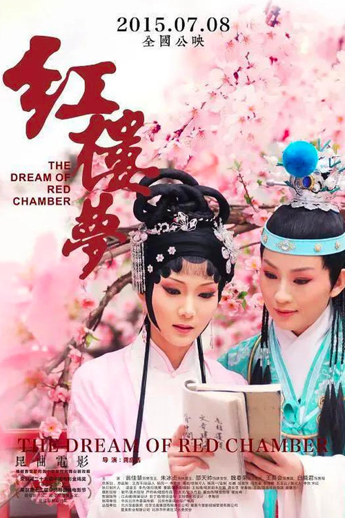 Movie poster for 红楼梦 (2014)