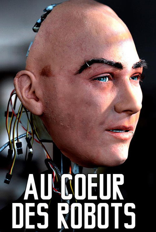 Movie poster for Au cœur des robots (2015)