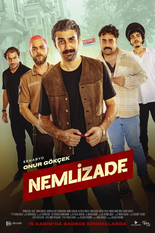 Movie poster for Nemlizade (2024)