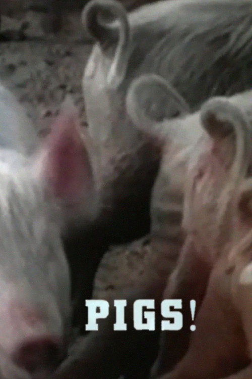 Movie poster for Pigs! (1967)
