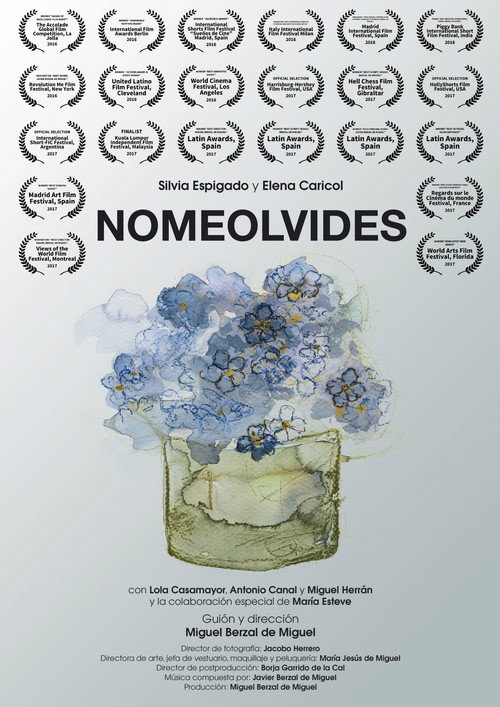 Movie poster for Nomeolvides (2016)