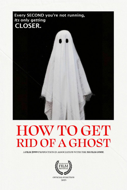 Movie poster for How To Get Rid of a Ghost (2023)