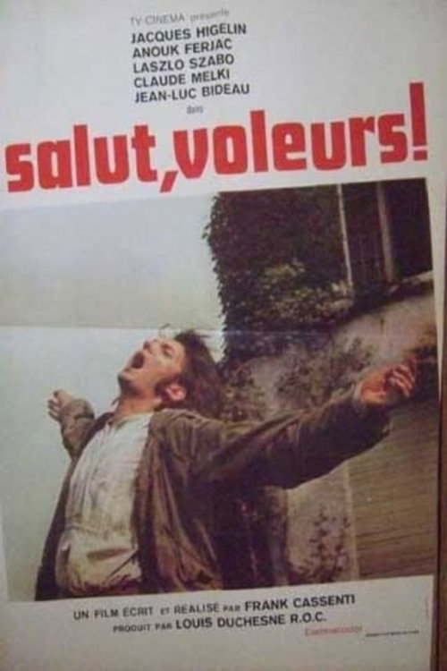 Movie poster for Salut, voleurs! (1973)