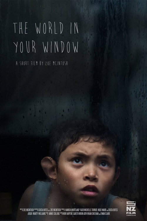 Movie poster for The World In Your Window (2017)