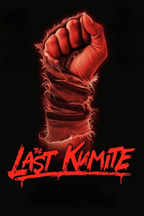 Movie poster for The Last Kumite (2024)