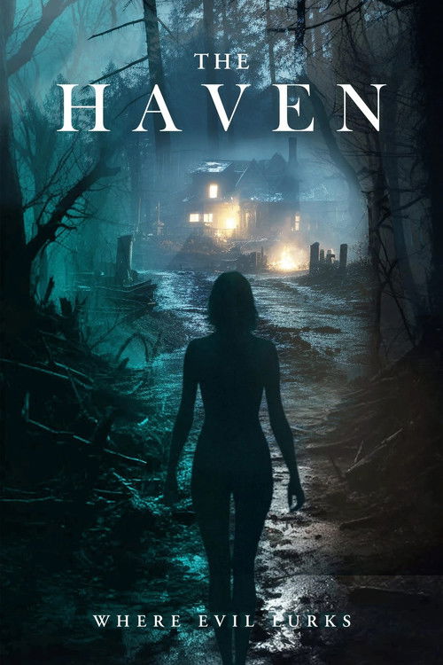The Haven poster
