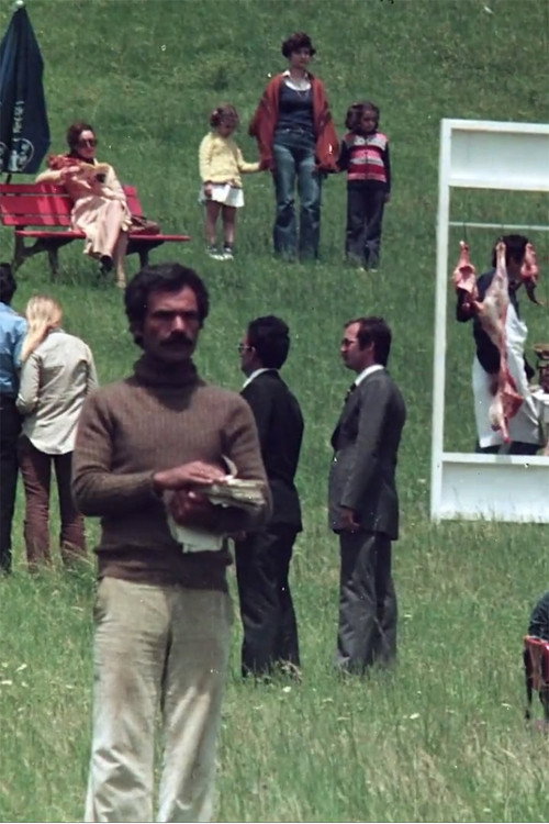 Movie poster for Short Film In Three Parts (1978)