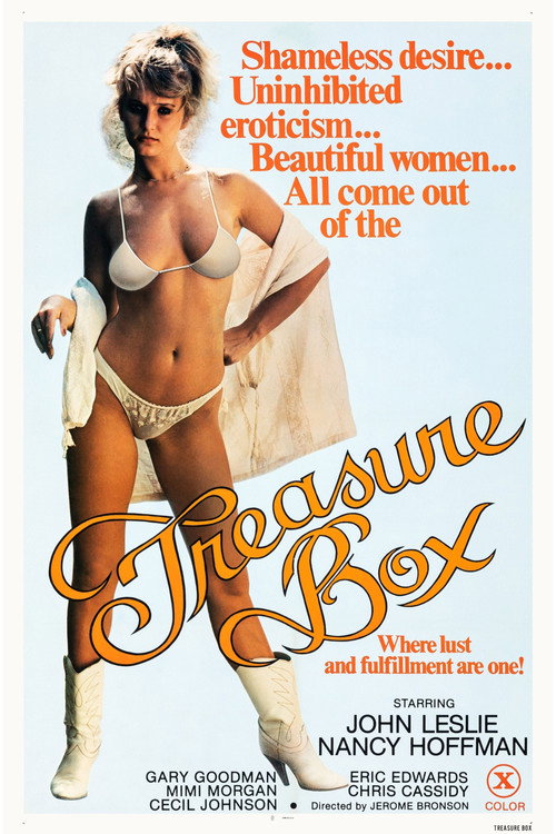 Movie poster for The Treasure Box (1979)