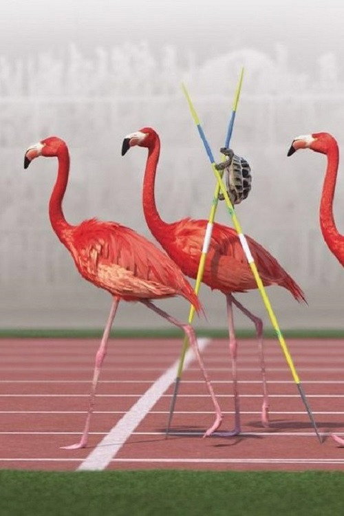 Movie poster for Athleticus: Middle-Distance Race (2022)