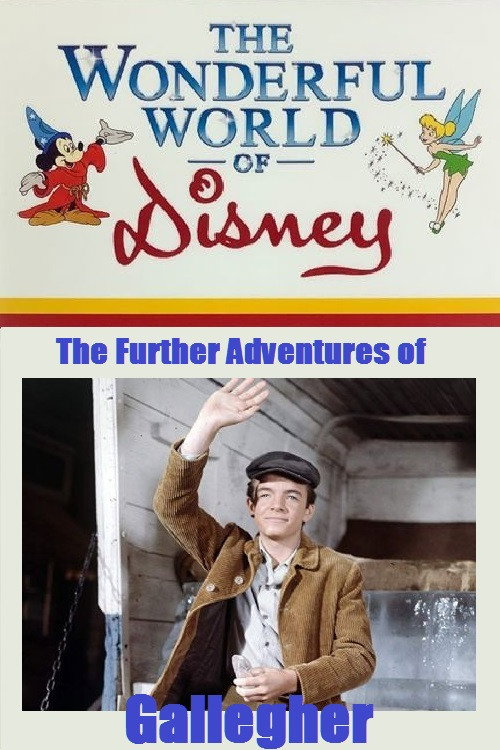 Movie poster for The Further Adventures of Gallegher (1965)