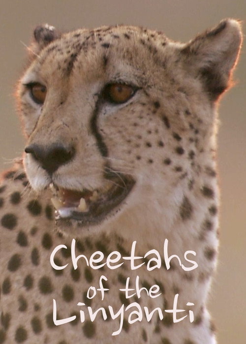 Movie poster for Cheetahs of the Linyanti (2022)