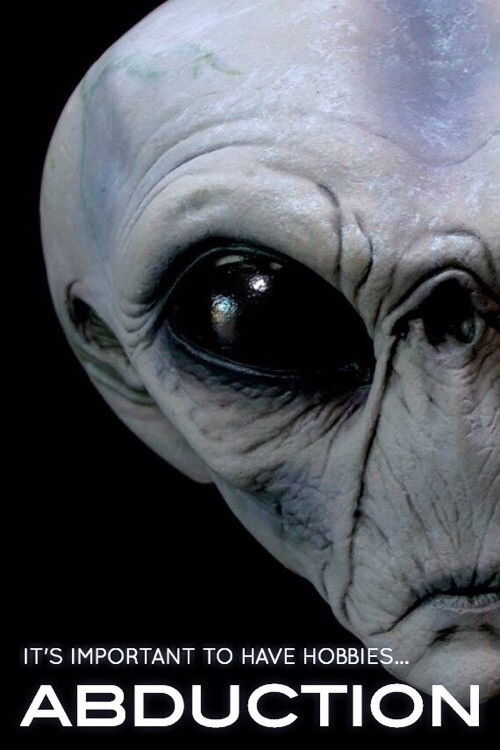 Movie poster for Abduction (2013)