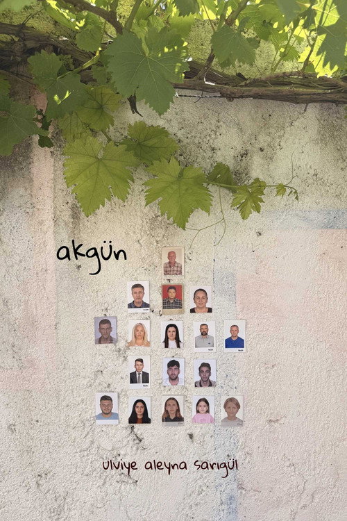 Movie poster for akgün
