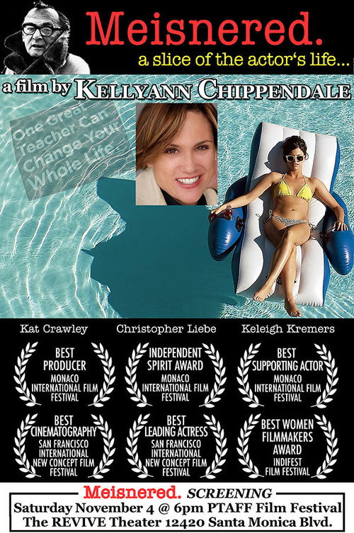 Movie poster for Getting Meisnered (2015)