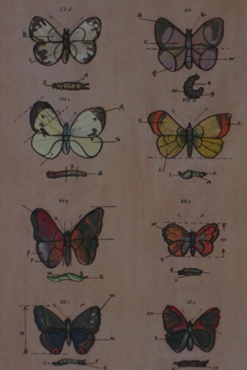 Movie poster for Lekcja anatomii (1968)