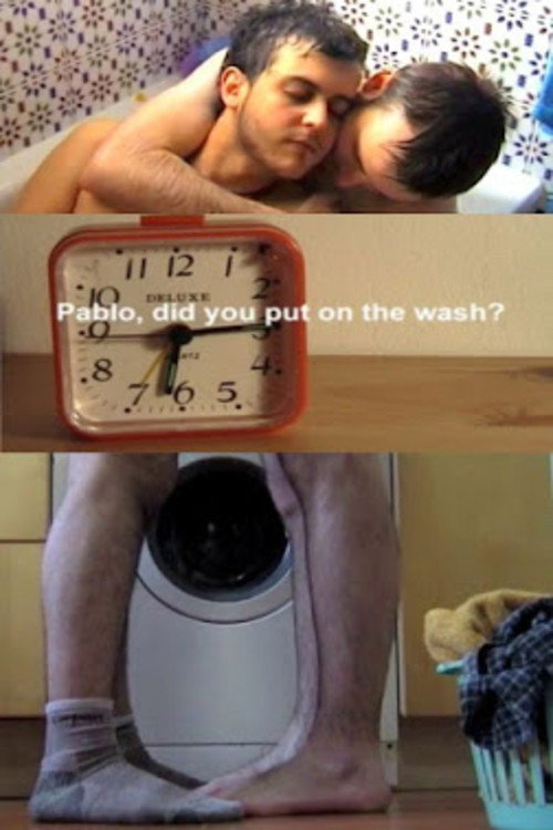 Movie poster for Pablo, Did You Put on the Wash? (2005)