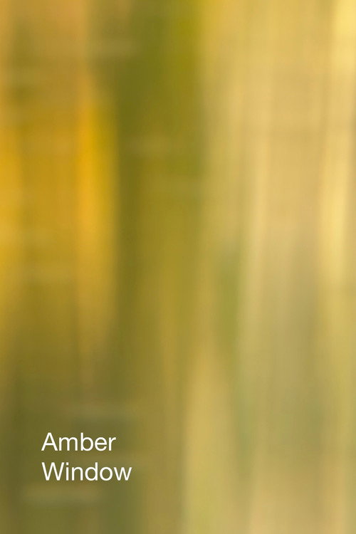 Movie poster for Amber Window (2025)