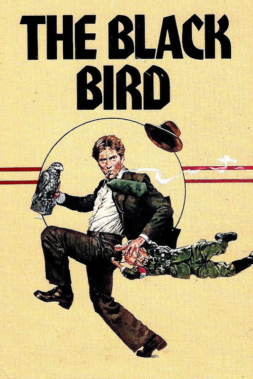 Movie poster for The Black Bird (1975)