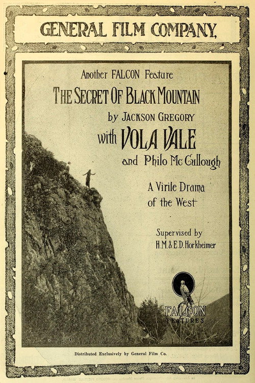 Movie poster for The Secret of Black Mountain (1917)