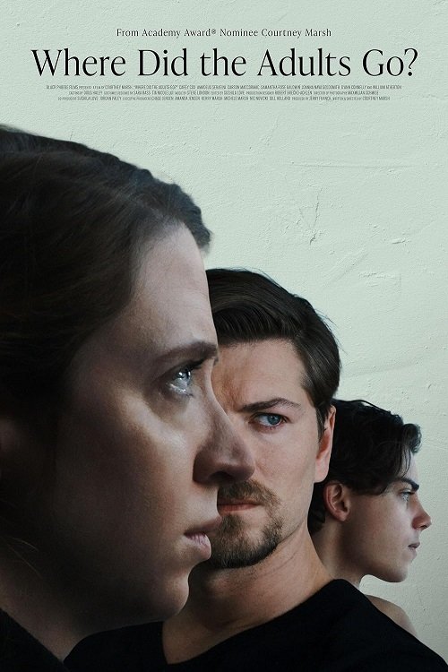 Movie poster for Where Did the Adults Go? (2025)
