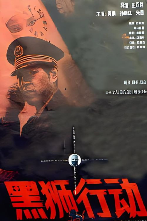 Movie poster for 黑狮行动 (1993)