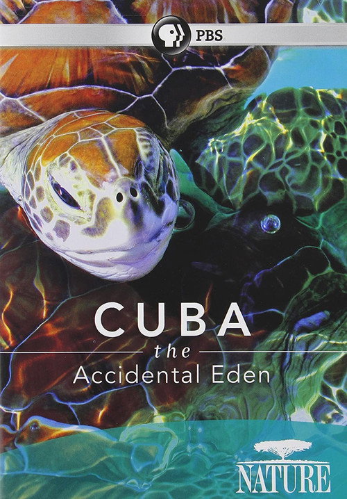Movie poster for Cuba: The Accidental Eden (2010)