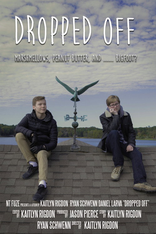 Movie poster for Dropped Off (2019)