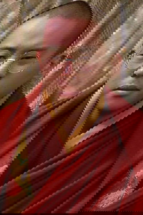 Tenzin Thuthob Tsarong profile