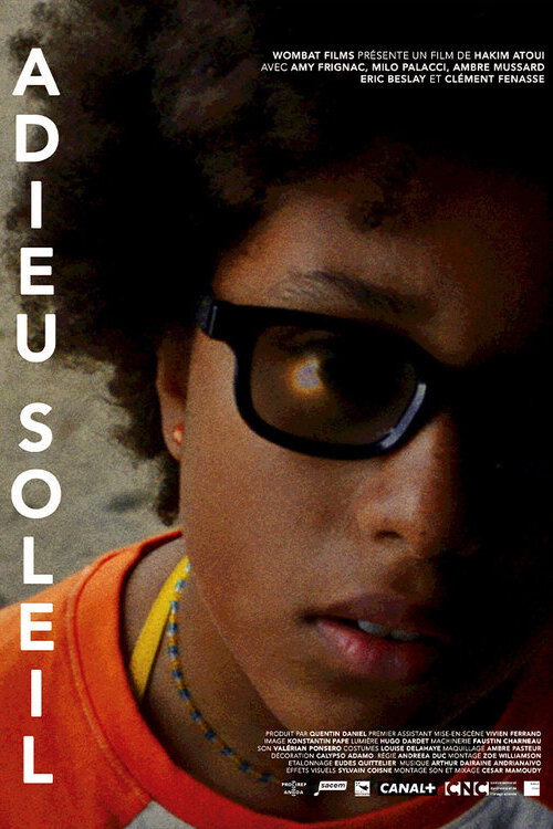 Movie poster for Goodbye Sun (2024)