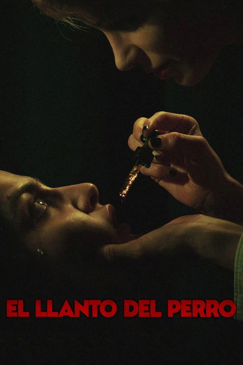 Movie poster for El llanto del perro (2025)