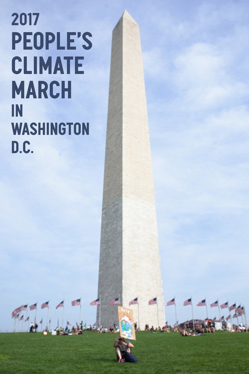 Movie poster for 2017 People's Climate March in Washington D.C. (2017)