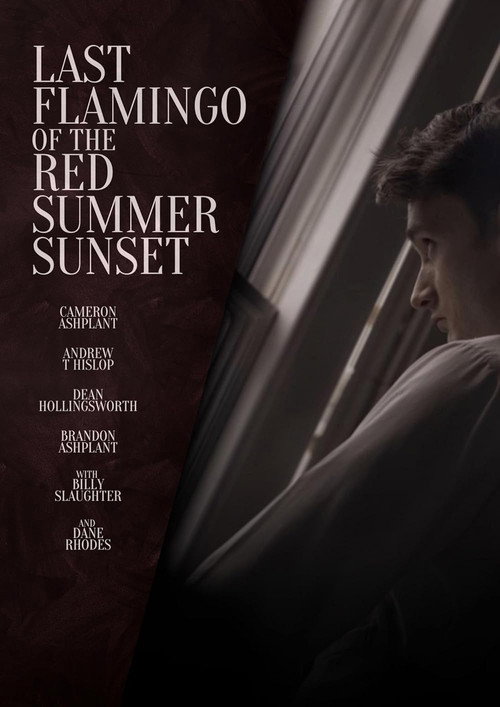 Movie poster for Last Flamingo of the Red Summer Sunset (2024)