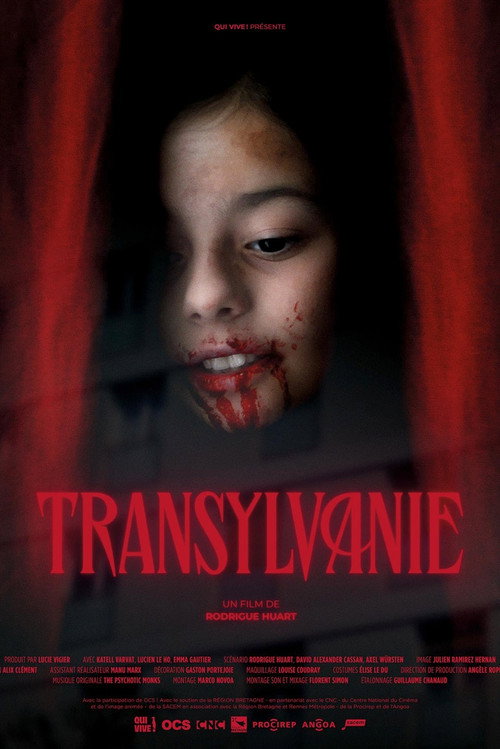 Movie poster for Transylvanie (2023)