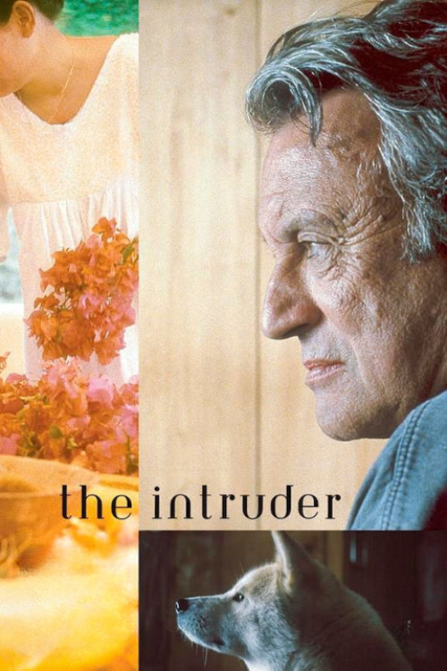 Movie poster for The Intruder (2005)