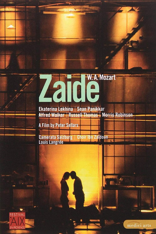 Movie poster for Zaide (2008)
