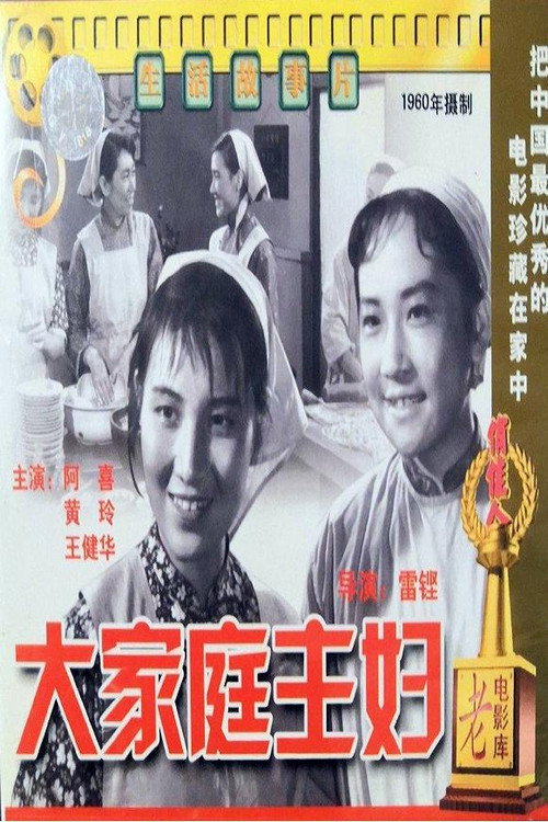 Movie poster for 大家庭主妇 (1960)