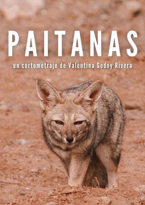 Movie poster for Paitanas