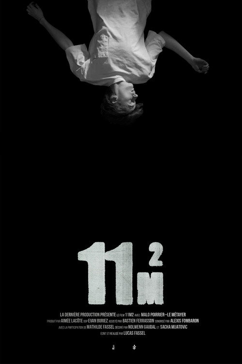 Movie poster for 11m2 (2024)