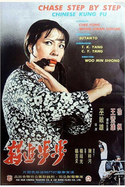 Movie poster for Chase Step By Step (1974)